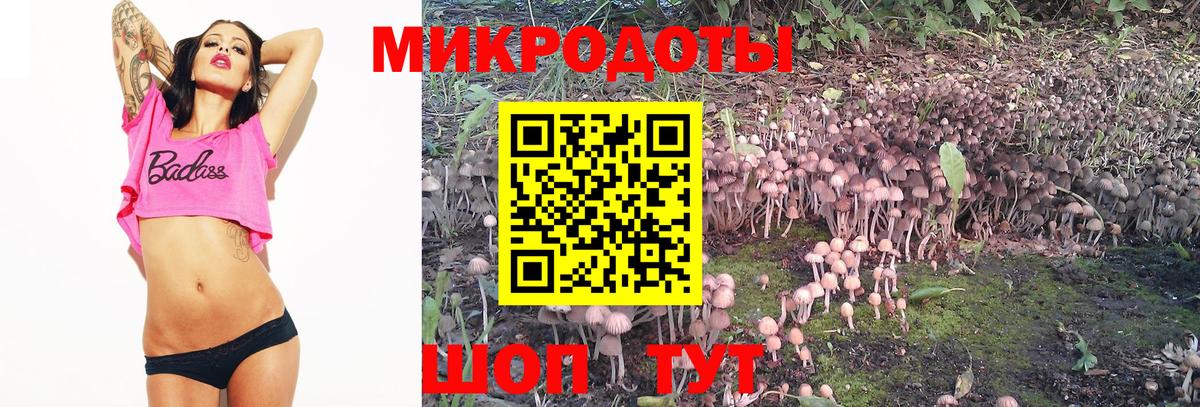 Галлюциногенные грибы мицелий Всеволожск