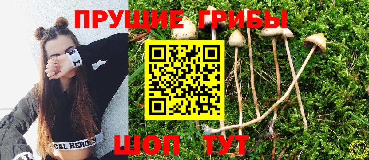 Псилоцибиновые грибы ЛСД  Всеволожск 